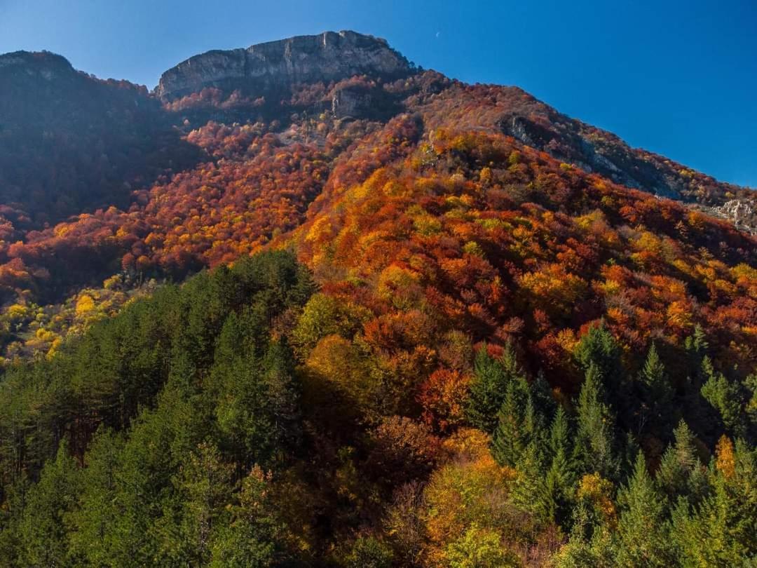 Стаи За Гости Тони Ribaritsa Buitenkant foto